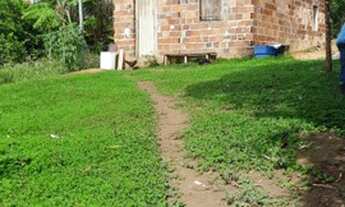 Imagem 4: Vendo sitio muito barato!