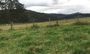 Imagem 6: C03-Terrenos com vista 360°