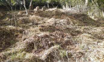 Imagem 6: Terreno à venda, 495 m² por R$ 270.000,00 - Cônego - Nova Friburgo/RJ