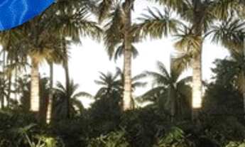 Imagem 7: CM | Beach Class Carneiros | Lançamento em breve