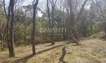 Imagem 2: Terreno - Joaquim Egídio - Campinas