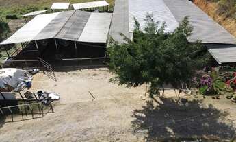 Imagem 3: Sítio no Inhapim/MG