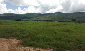 Imagem 3: Fazenda com 1 dormitório à venda, 3.115 HECTARES - Zona Rural - Barra do Bugres/MT
