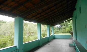 Imagem 4: V) Vende-se Excelente Sítio no Lomanto Júnior