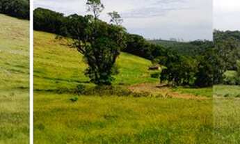 Imagem 2: Lote/Terreno para venda com 500 metros quadrados em SANTA CECILIA - Nazaré Paulista - SP