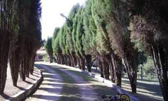 Imagem: Linda chácara 10.000 metros