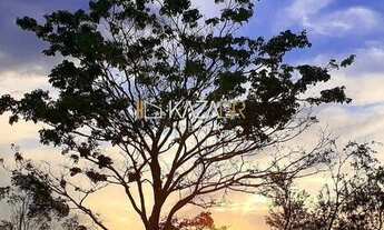 Imagem 2: Terreno à venda, 630m2, totalmente plano. R$100.000,00 Terra Preta Mairiporã /SP