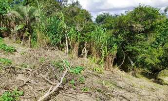 Imagem 7: Lindo Terreno Com Vista Pro Vale