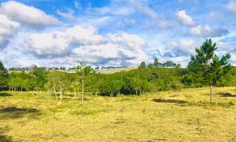 Imagem 3: Terrenos Planos e Limpos Para Sua Casa de Campo em Ibiúna - SP