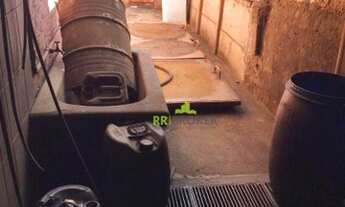 Imagem 3: Barracão para alugar, 20000 m² por R$ 27.000/mês - Vila Ercília - São José do Rio Preto/SP