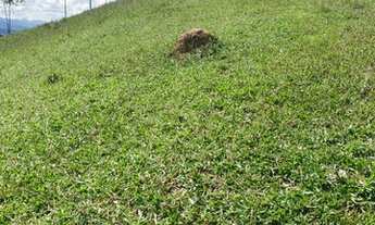 Imagem 6: Mega promoção chácaras de 5000m² por apenas R$ 60.000,00 mil reais à vista parcelamos tam