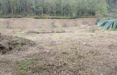 Imagem 7: Vende-se sítio Chácara com venda por R$1.100.000