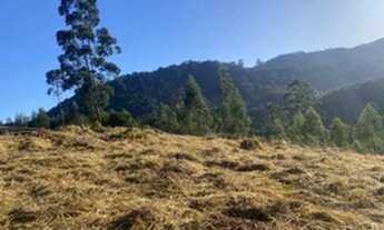 Imagem: Lote/Terreno para venda tem 5000 metros