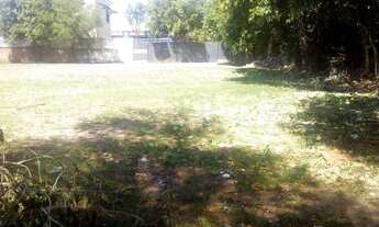 Imagem 4: Porto Alegre - Terreno Padrão - Floresta