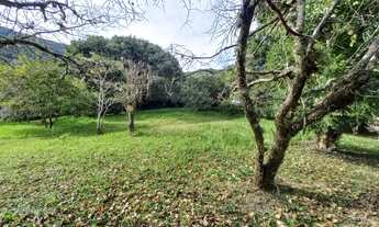 Imagem: VENDA TERRENO COM VISTA PARA O MAR - RIBEIRÃO