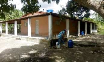 Imagem 2: V) Vende-se Fazenda de gado próximo a Buerarema