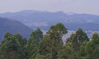 Imagem: Terrenos no Cascatinha