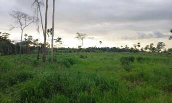 Imagem 6: CHACARA 5 ALQ. EM ROLIM DE MOURA RO