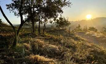 Imagem 7: Sonho para construir