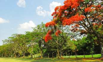 Imagem 3: Terreno - Reserva Santa Isabel Jaguariuna - Jaguariúna