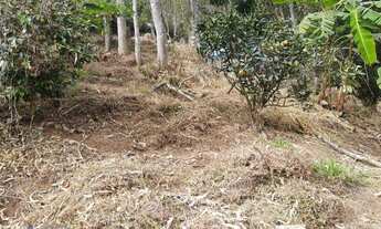 Imagem 7: Terreno à venda, 495 m² por R$ 270.000,00 - Cônego - Nova Friburgo/RJ