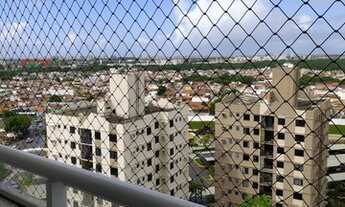 Imagem 7: Arboris Jabotina