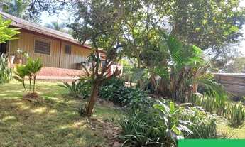 Imagem 2: LONDRINA - TERRENO PADRÃO - RUI BARBOSA