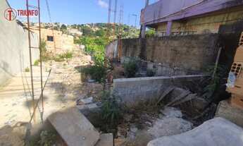 Imagem 3: Terreno Lote para Venda em Palmital Santa Luzia-MG - 1704