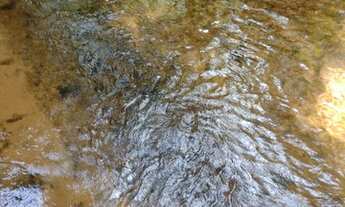 Imagem 5: Chacara de recreio a venda estrada do manso