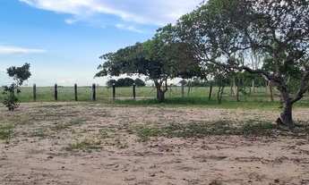 Imagem 6: VENDO OU TROCO SITIO COM BANHO