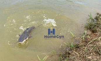 Imagem 7: Chácara nova com aproximadamente 30.000 m²