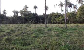 Imagem 6: Lindo baixado 80.000m² com luz, rio nos fundos, mata nativa, Jaboticatubas