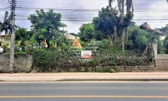 Imagem: TERRENO A VENDA NA RUA SÍLVIO BÚRIGO