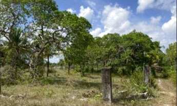 Imagem 7: Fazenda/Sítio/Chácara para venda 2 Alqueires com plantio de café e pomar com casa para m