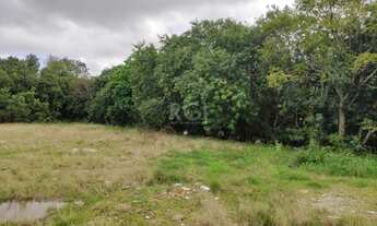 Imagem 7: Porto Alegre - Terreno Padrão - Camaquã