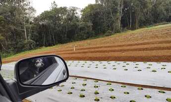 Imagem 2: Chácara à venda em Colônia Murici - São José dos Pinhais