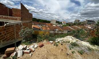 Imagem 2: Lotes castanheira(3 unidades juntas