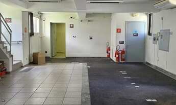 Imagem 6: SÃO PAULO - Loja/Salao - PACAEMBU