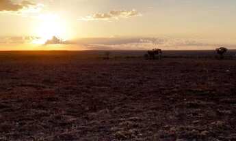 Imagem 4: Chácara para Venda em Mucugê