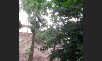 Imagem 7: Casa Casa com 3 dormitórios