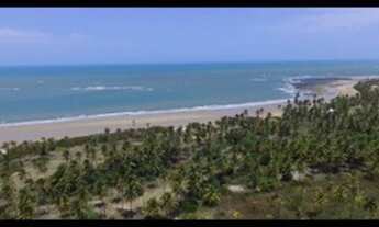 Imagem 4: Terreno praia da baleia itapipoca bera mar