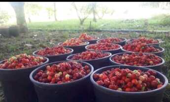 Imagem 6: Chácara Colatina. aceito entrada de 10mil