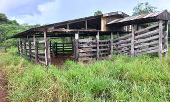 Imagem: CHACARA 5 ALQ. EM ROLIM DE MOURA RO