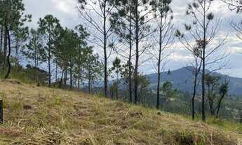 Imagem 6: Terreno em área verde - Mairiporã - SP