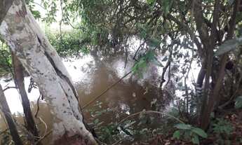 Imagem 3: Sitio Chácara com venda por R$150.000