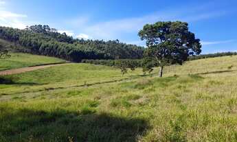 Imagem 4: TERRENO EM NAZARE PAULISTA PROXIMO A REPRESA