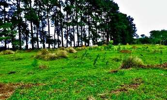 Imagem 4: Lote/Terreno para venda tem 600 metros quadrados em Recanto das Águas - Igaratá - SP