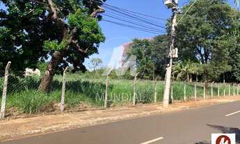 Imagem 4: Terreno (terreno normal