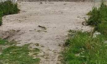 Imagem 2: Terreno à venda na Barra da Lagoa