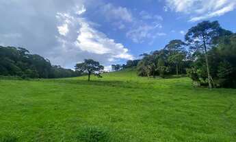 Imagem 2: LL- Vendo terreno em excelente local